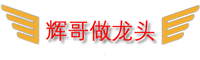 辉哥玩大A